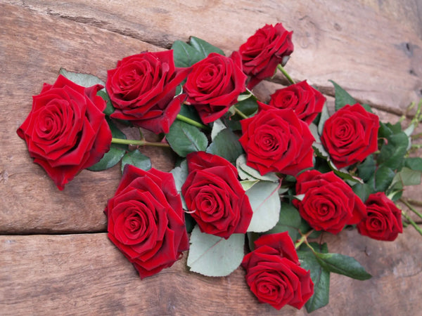 Long top stem roses