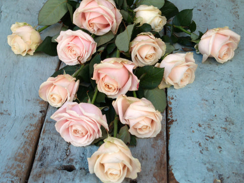 Mother's Day Long Stemmed Pink Roses with Eucalyptus