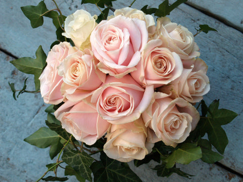 Valentine's Day Pink Rose Dome