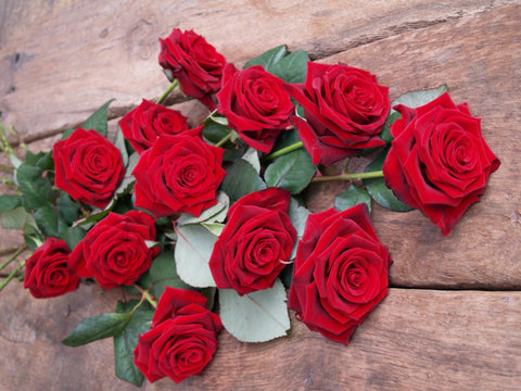 Valentine's Day Best Long Stemmed Red Roses with Eucalyptus